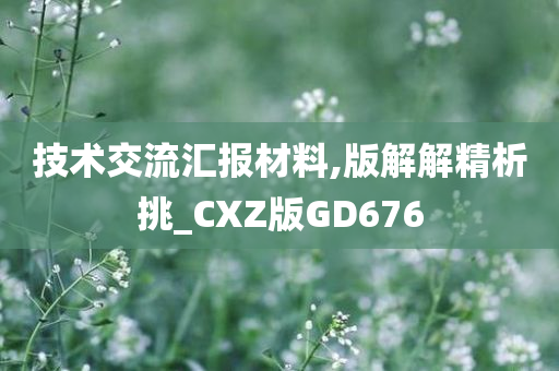 技术交流汇报材料,版解解精析挑_CXZ版GD676