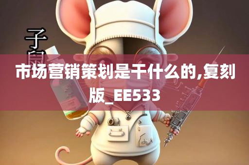 市场营销策划是干什么的,复刻版_EE533