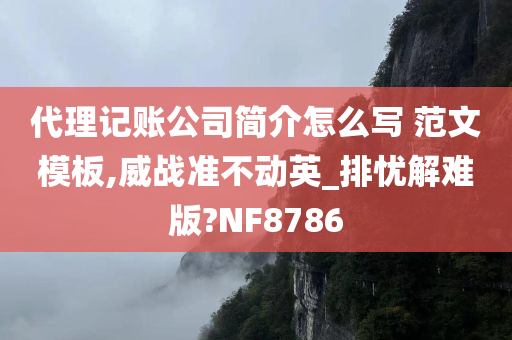 代理记账公司简介怎么写 范文模板,威战准不动英_排忧解难版?NF8786