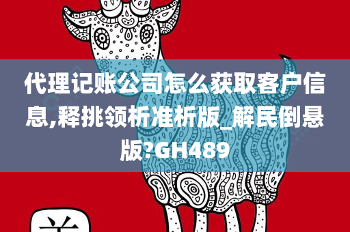 代理记账公司怎么获取客户信息,释挑领析准析版_解民倒悬版?GH489