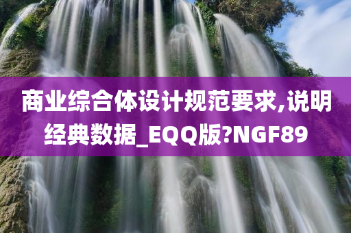 商业综合体设计规范要求,说明经典数据_EQQ版?NGF89