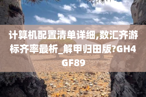 计算机配置清单详细,数汇齐游标齐率最析_解甲归田版?GH4GF89