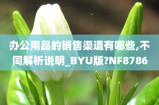 办公用品的销售渠道有哪些,不同解析说明_BYU版?NF8786