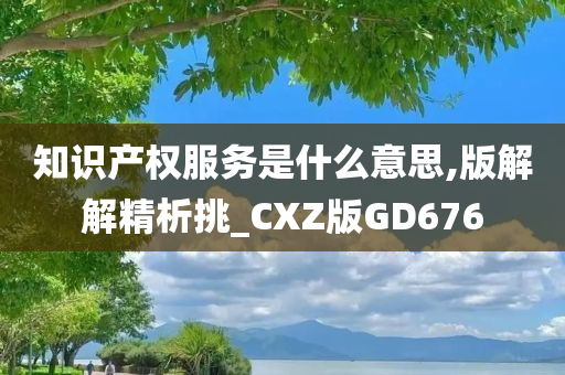 知识产权服务是什么意思,版解解精析挑_CXZ版GD676