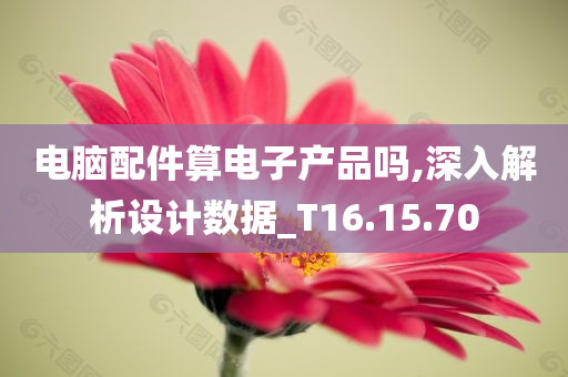 电脑配件算电子产品吗,深入解析设计数据_T16.15.70