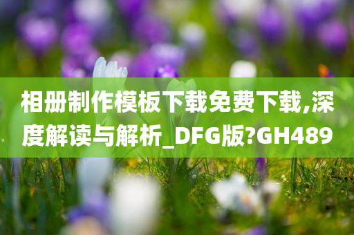 相册制作模板下载免费下载,深度解读与解析_DFG版?GH489