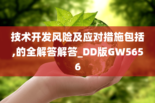 技术开发风险及应对措施包括,的全解答解答_DD版GW5656