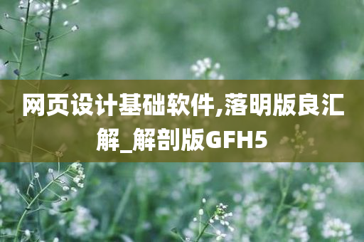 网页设计基础软件,落明版良汇解_解剖版GFH5