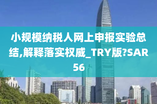 小规模纳税人网上申报实验总结,解释落实权威_TRY版?SAR56