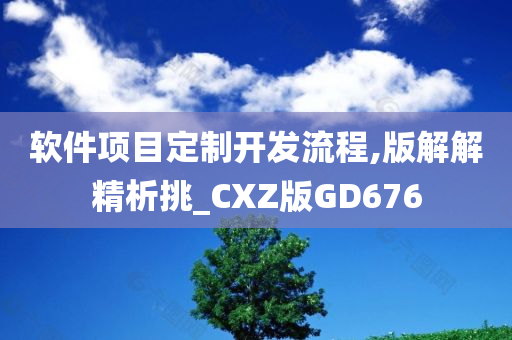 软件项目定制开发流程,版解解精析挑_CXZ版GD676