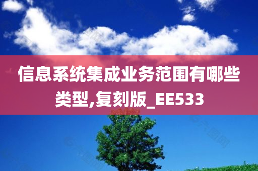 信息系统集成业务范围有哪些类型,复刻版_EE533