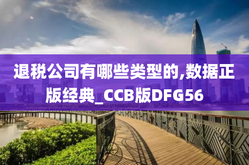 退税公司有哪些类型的,数据正版经典_CCB版DFG56