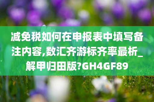 减免税如何在申报表中填写备注内容,数汇齐游标齐率最析_解甲归田版?GH4GF89