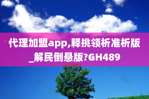 代理加盟app,释挑领析准析版_解民倒悬版?GH489