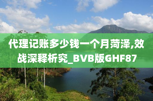 代理记账多少钱一个月菏泽,效战深释析究_BVB版GHF87