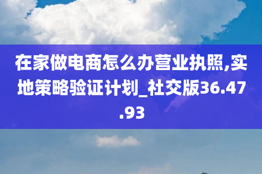 在家做电商怎么办营业执照,实地策略验证计划_社交版36.47.93