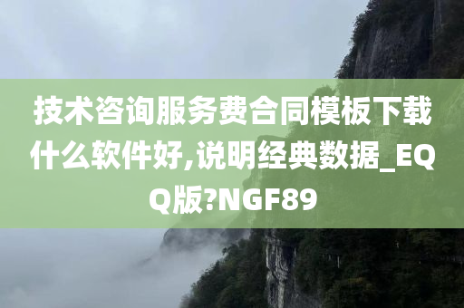 技术咨询服务费合同模板下载什么软件好,说明经典数据_EQQ版?NGF89