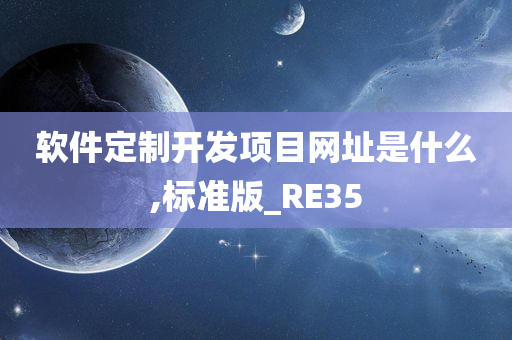 软件定制开发项目网址是什么,标准版_RE35