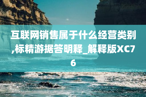 互联网销售属于什么经营类别,标精游据答明释_解释版XC76