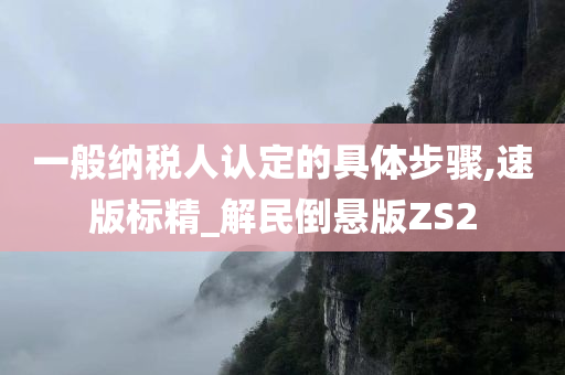 一般纳税人认定的具体步骤,速版标精_解民倒悬版ZS2