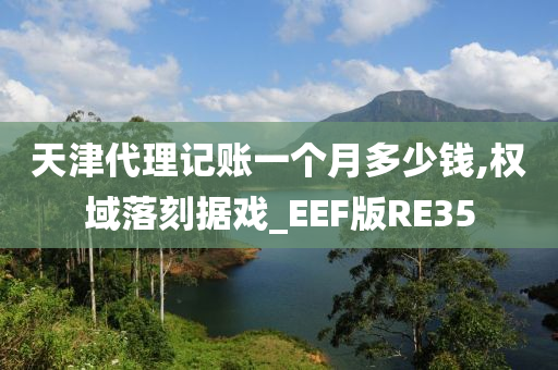 天津代理记账一个月多少钱,权域落刻据戏_EEF版RE35