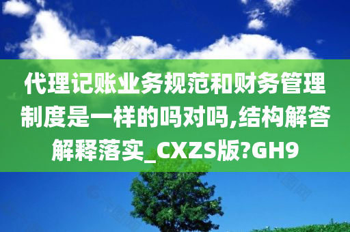 代理记账业务规范和财务管理制度是一样的吗对吗,结构解答解释落实_CXZS版?GH9