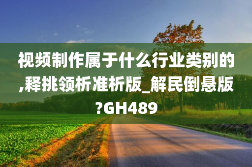 视频制作属于什么行业类别的,释挑领析准析版_解民倒悬版?GH489