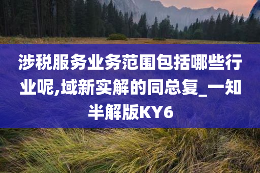 涉税服务业务范围包括哪些行业呢,域新实解的同总复_一知半解版KY6