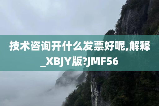 技术咨询开什么发票好呢,解释_XBJY版?JMF56