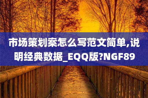 市场策划案怎么写范文简单,说明经典数据_EQQ版?NGF89