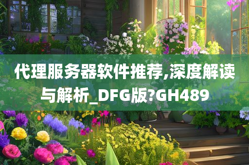 代理服务器软件推荐,深度解读与解析_DFG版?GH489