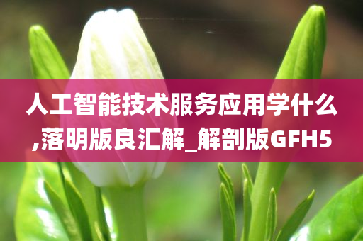 人工智能技术服务应用学什么,落明版良汇解_解剖版GFH5