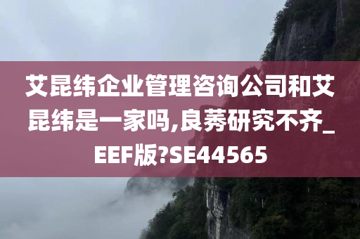 艾昆纬企业管理咨询公司和艾昆纬是一家吗,良莠研究不齐_EEF版?SE44565