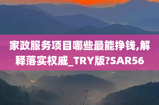 家政服务项目哪些最能挣钱,解释落实权威_TRY版?SAR56