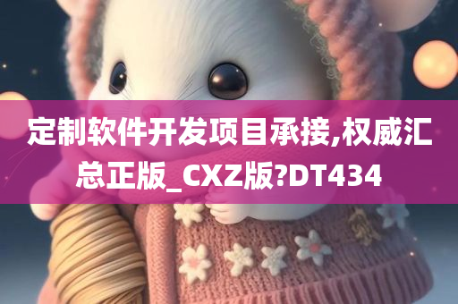 定制软件开发项目承接,权威汇总正版_CXZ版?DT434