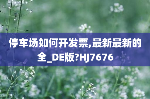 停车场如何开发票,最新最新的全_DE版?HJ7676