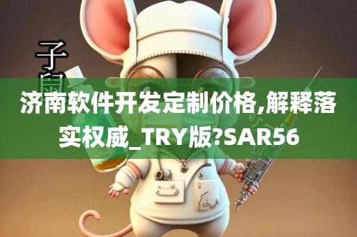 济南软件开发定制价格,解释落实权威_TRY版?SAR56