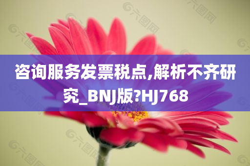 咨询服务发票税点,解析不齐研究_BNJ版?HJ768