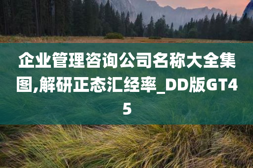 企业管理咨询公司名称大全集图,解研正态汇经率_DD版GT45