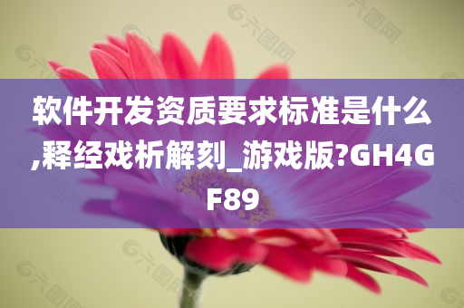 软件开发资质要求标准是什么,释经戏析解刻_游戏版?GH4GF89