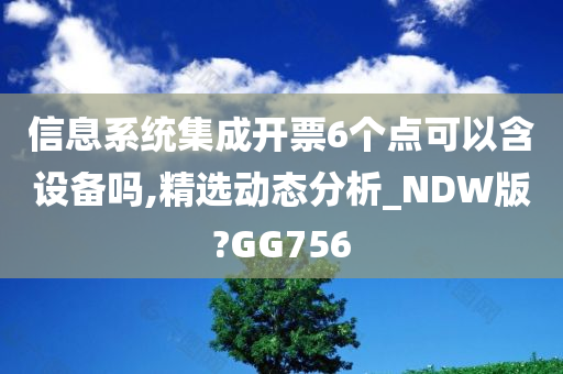 信息系统集成开票6个点可以含设备吗,精选动态分析_NDW版?GG756