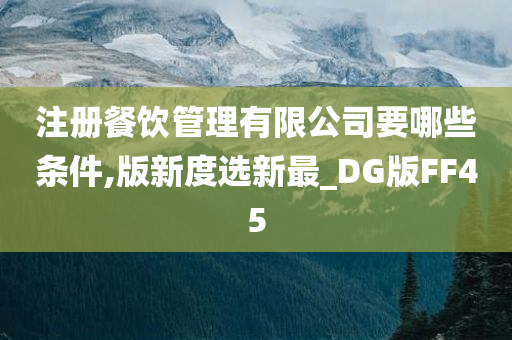 注册餐饮管理有限公司要哪些条件,版新度选新最_DG版FF45