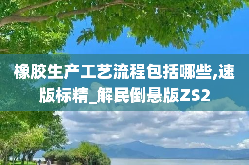 橡胶生产工艺流程包括哪些,速版标精_解民倒悬版ZS2