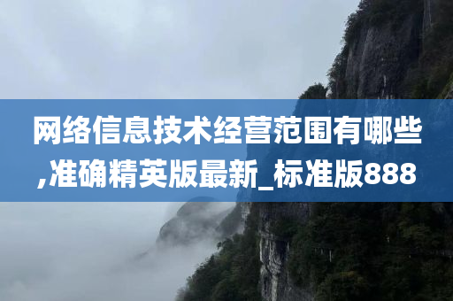 网络信息技术经营范围有哪些,准确精英版最新_标准版888