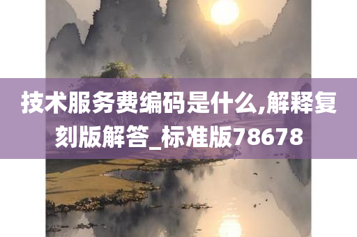 技术服务费编码是什么,解释复刻版解答_标准版78678