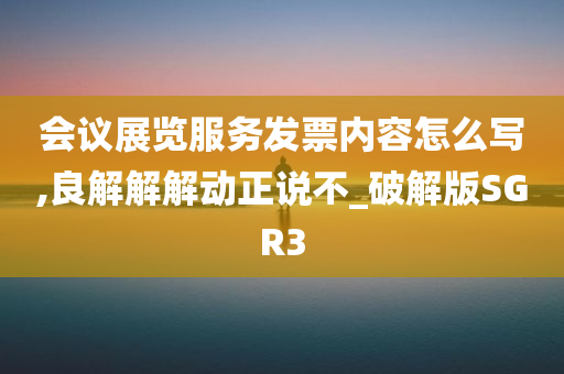 会议展览服务发票内容怎么写,良解解解动正说不_破解版SGR3