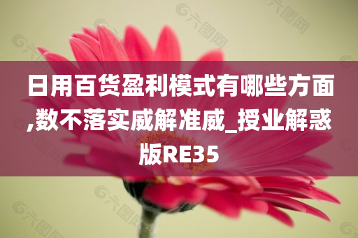 日用百货盈利模式有哪些方面,数不落实威解准威_授业解惑版RE35