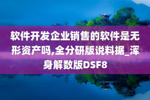 软件开发企业销售的软件是无形资产吗,全分研版说料据_浑身解数版DSF8