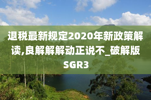 退税最新规定2020年新政策解读,良解解解动正说不_破解版SGR3