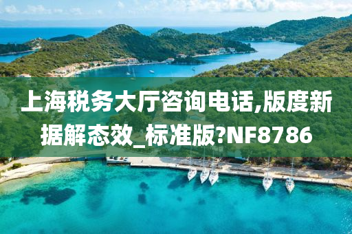 上海税务大厅咨询电话,版度新据解态效_标准版?NF8786